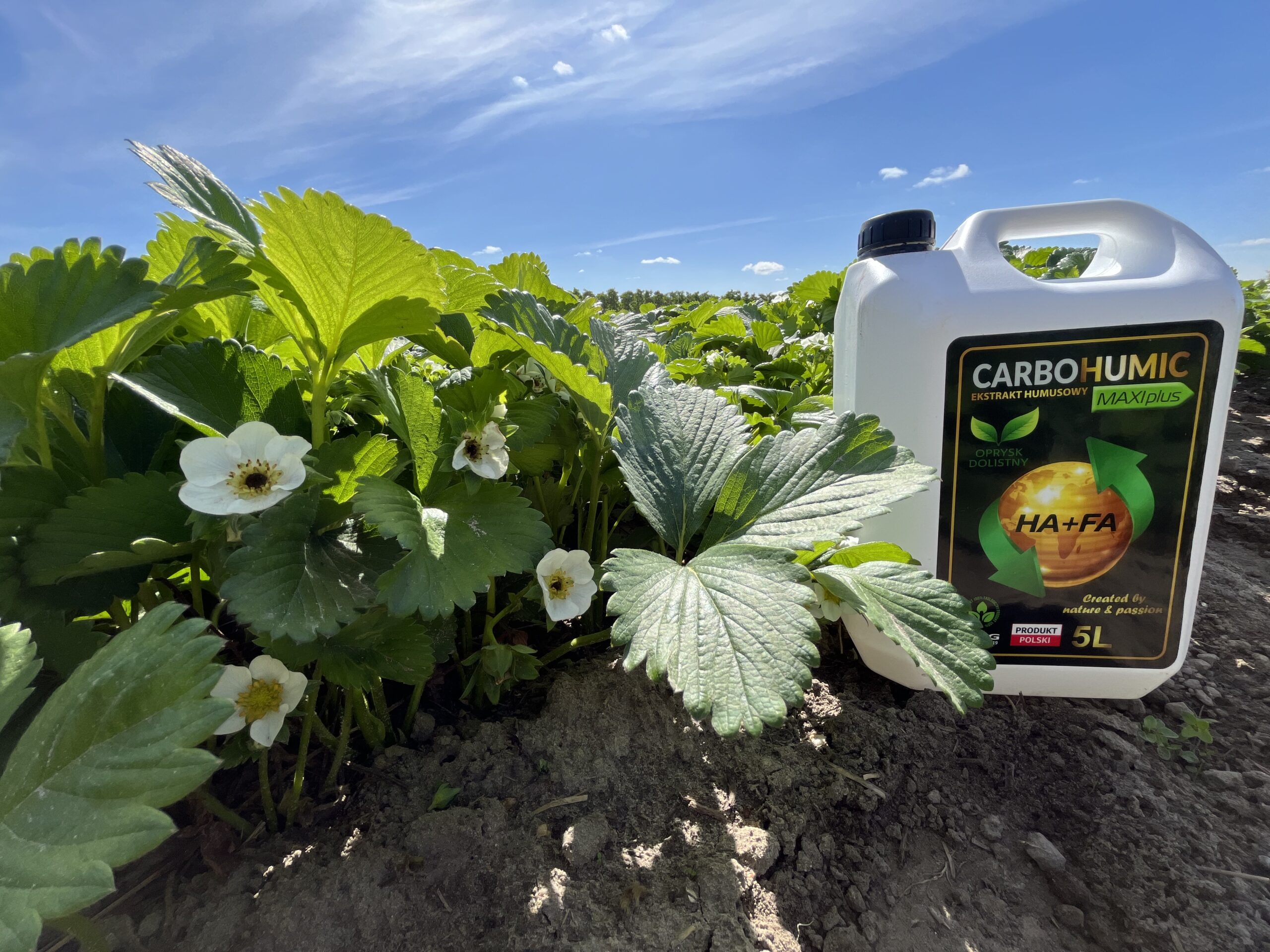CARBOHUMIC MAXI plus 1 L - obrazek 7