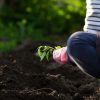 CARBOMAT HUMIC do warzyw i owoców 1 L - obrazek 5